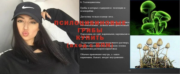 гидропоника Мегион