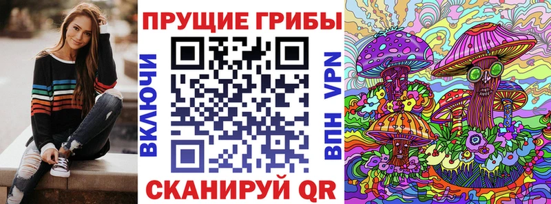 блэк спрут ССЫЛКА  Наволоки  Псилоцибиновые грибы Psilocybe 